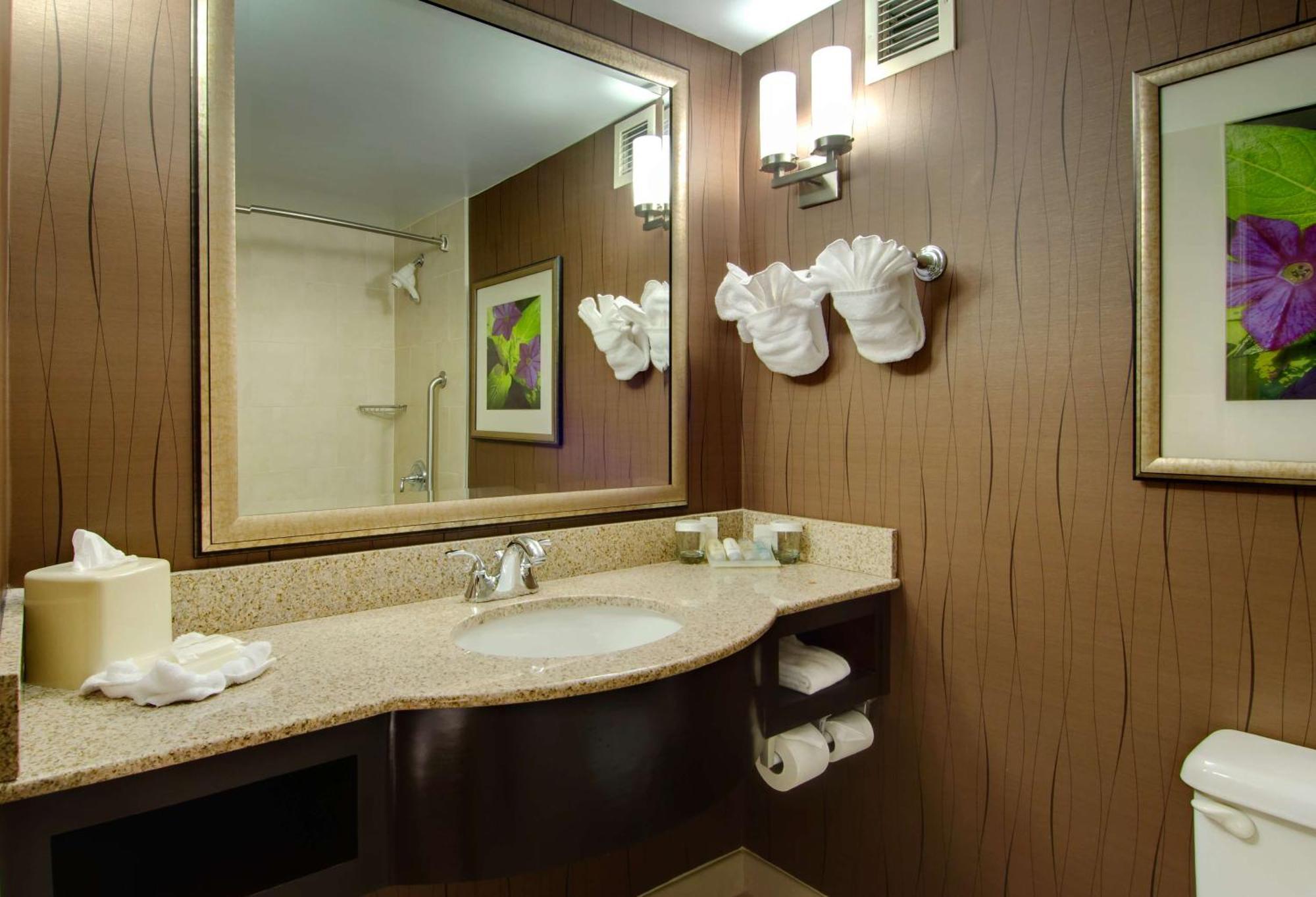 Hilton Garden Inn Raleigh Durham Airport Morrisville Εξωτερικό φωτογραφία